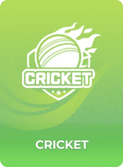 DmFirst Cricket — play the cricket-themed crash game at DmFirst